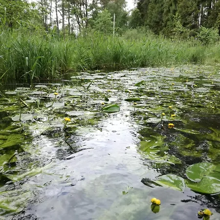Domek Z Widokiem. Swornegacie Zewnętrze zdjęcie